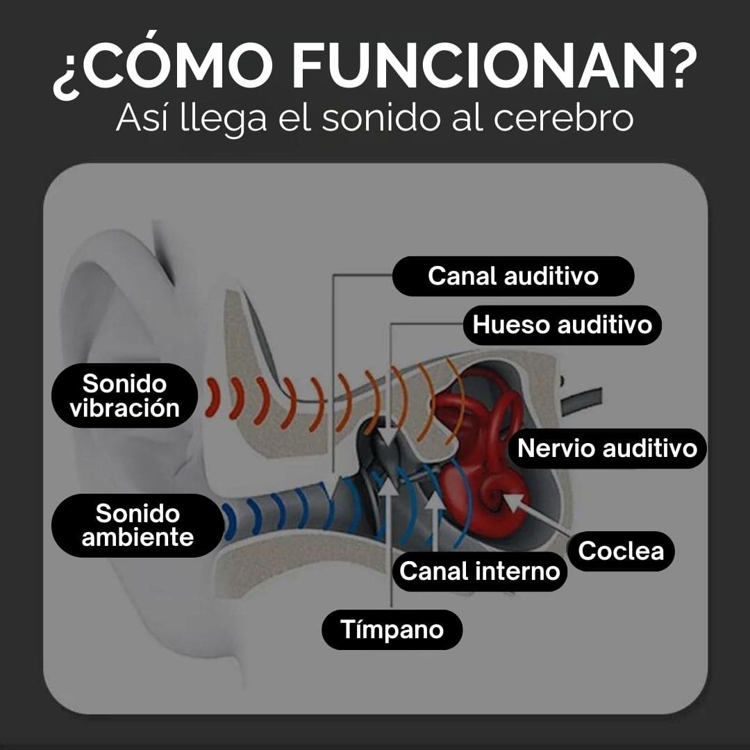 Out® Audífonos de Conducción Ósea